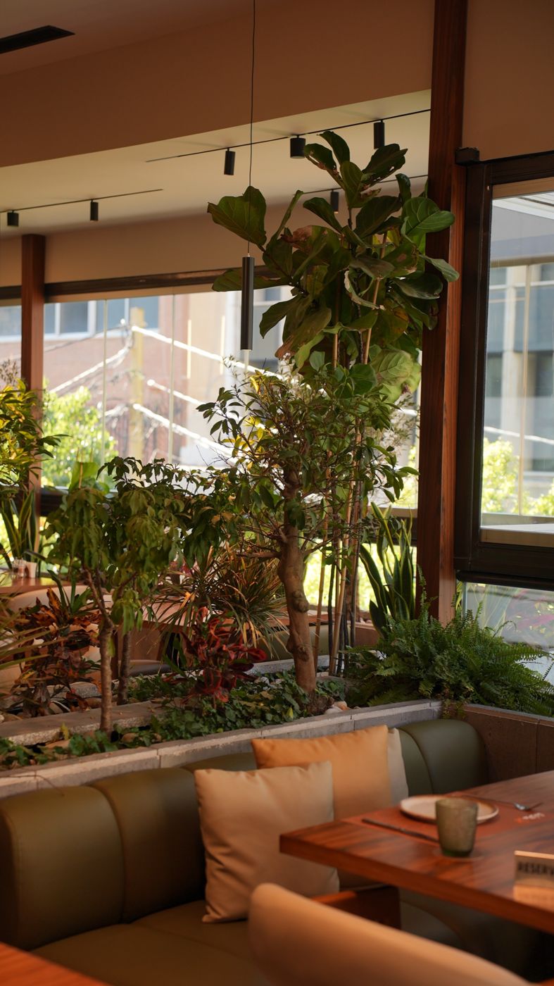 Booth seating beside an indoor garden of fig and ficus trees